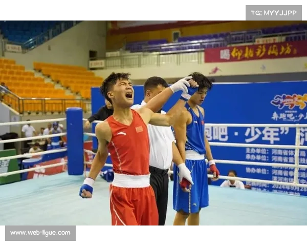 十五运会拳击比赛落幕 新生代选手展现中国拳击新力量 十五运会拳击比赛落幕 新生代选手展现中国拳击新力量